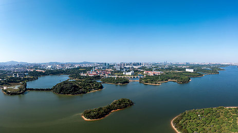 国产AV综合：驰骋华夏，车轮上的时代回音与未来竞速之旅