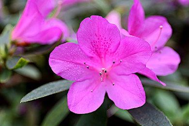 真人囗交29图：极速狂飙，二十九个真实路口的终极驾驶挑战-2