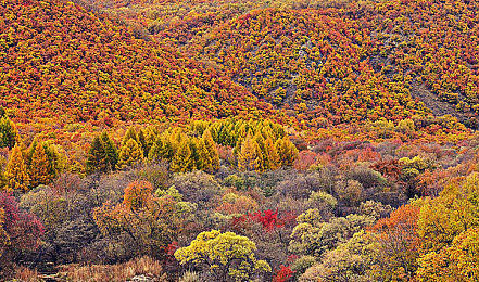 国产乱伦性爱:赛道同质化困局待破,国产竞速游戏寻求文化引擎新驱动-2