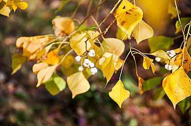 把男人的困困放在女人的困困:颠覆传统赛车体验,女性主导竞速世界开启全新征程-2