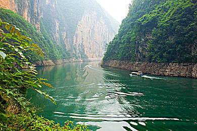 免费的黄软件：墨西哥荒野上的金色轮迹，地平线五季的终极竞速梦想-3