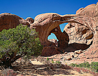 男女污软件：赛博竞速新作上线，以速度挑战道德边界的讽刺寓言引发热议-3