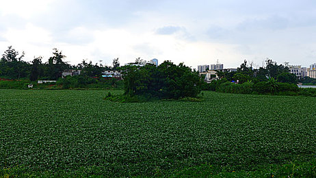 男生的困困放在女生的困里：极速岛屿，温情赛道，生活与竞速的交织之旅-2