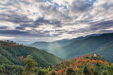男人困困对个女人：极速赛道，情感迷途，抉择人生方向-2