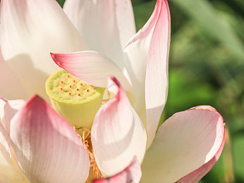 男女打扑克差差差差：极速心战，卡牌竞速中的性别策略博弈-3