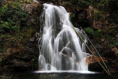 黄色软件3.：数据狂飙，代码赛道上的极速修复之旅