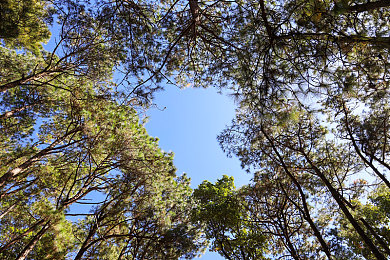 女生把筷子放屁眼里视频：平衡之艺，荒诞情境下的精准抉择之旅-2