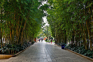 404黄台入口在哪里：隐匿赛道之谜，在虚拟旷野追寻开发者遗留的秘境坐标-2