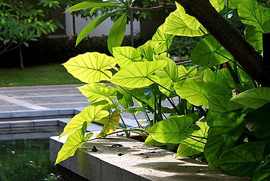 一卡二卡号码会不会乱码 免流量：《极速狂飙：数据赛道》今日上线双卡调校攻略，实现零延迟竞速体验-3