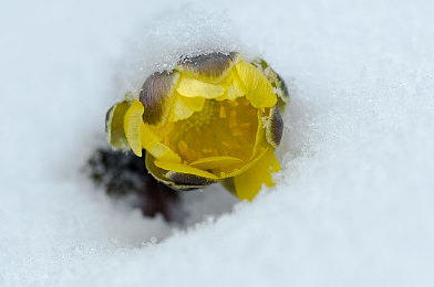 裸体软件:纯粹驾驶模拟新作问世,硬核玩家直面物理引擎底层逻辑-1