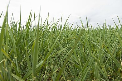 综合一区一区二区：极限竞速地平线，开放世界驾驶乐趣与汽车文化的完美融合-3