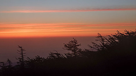 女人和公豬交交30：《狂野公路30》正式发售，人机搭档挑战荒诞赛车传奇-2