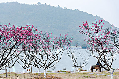 男人的阴茎插入女人阴道的软件：精密力学，赛道共鸣的驾驶艺术-2