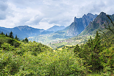童帝电影大全在线观看：霓虹夜幕下的极速传说，亲历光影交错的街头狂飙诗篇-3