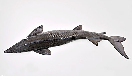 打扑克两人运动：极速赛道，智谋交锋，风驰电掣间的卡牌竞速-3