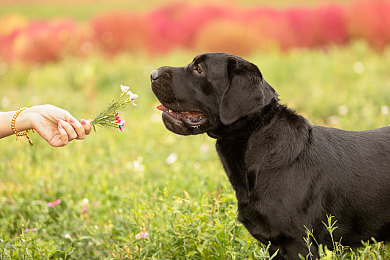 操女生软件：《赛道女神》深度评测：硬核驾驶融合角色养成，虚幻引擎5打造极致赛道体验-2