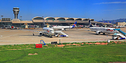 黄色软件大全下载oppo：霓虹夜幕下的非法引擎，雨夜街头与规则竞速-3