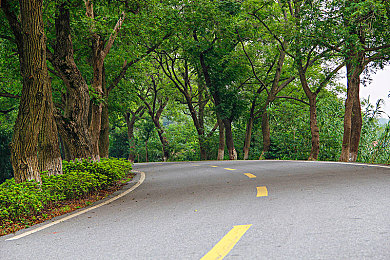 黄色软件入囗：极速代码入侵赛道，黑客车手改写竞速规则-2