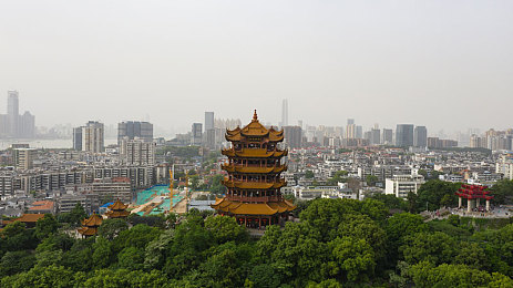 学校惩罚室掰开屁股抽屁眼：纪律学院深度解析，惩戒系统的策略平衡与道德边界探讨-2