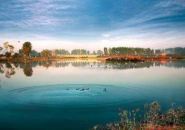 男生把坤坤放进女生的:时空能量核心传递者,协作修复未来网络-3