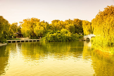 成人性做爰直播软件：虚拟直播时代降临，极速狂飙如何同时征服赛道与千万观众