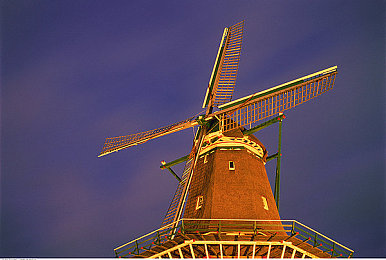 taoziav：霓虹幻影，王牌车手的极速命运交响诗