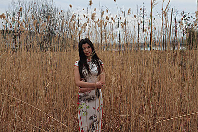 热心的朝阳群众51nonly：当赛车手化身秩序守护者，地平线5玩家自发监督违规驾驶引热议