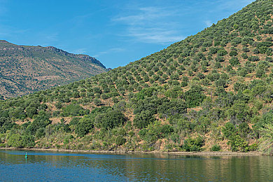 APP福利导航：墨西哥狂飙，地平线五的终极竞速盛宴与资源征服之路-2