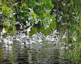 好色先生TV传媒：色彩赛道竞速，美学与速度的视觉盛宴