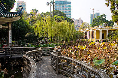 拔萝卜不盖：当赛车驰骋田园，策略改写极速法则-1