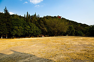 体育生男男：极速同行，双生引擎的羁绊竞速之旅