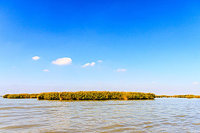 男生和女生一起差差app：双人竞速，心跳同步的协作驾驶之旅