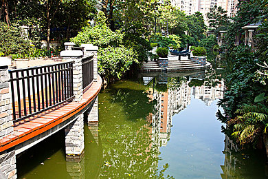 富二代黄版：黄金纪元，极速与财富交织的都市狂想曲-3