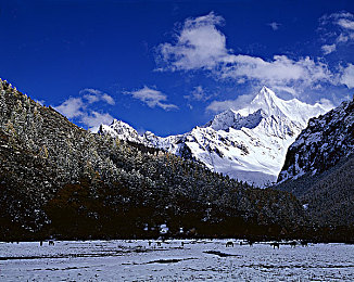 69乐园倾力打造：霓虹都市，极速改装，开放世界竞速狂欢-3