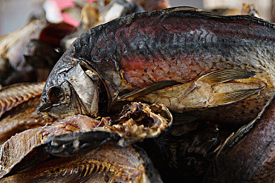 黄下载安装免费版2023：极限竞速地平线5，墨西哥狂野之旅，2023依然火爆的赛车标杆