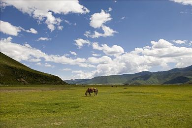 十大禁止安装应用入口免费下载安装:揭秘极速禁区隐藏模块,合法改装与风险陷阱全解析-3