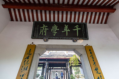 男女日逼的软件：双人协作竞速新作，每日挑战考验极致默契-2