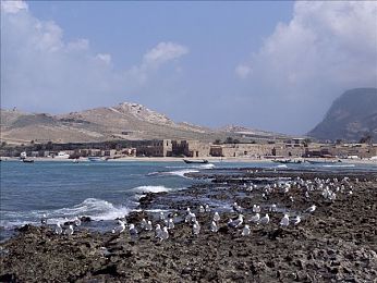 2023b站推广入口动漫:竞速新游引爆二次元赛道,动漫IP与硬核玩法深度碰撞-2