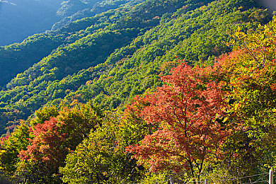 亚洲一区一号：极速王者登顶之路，揭秘全新竞速游戏巅峰对决内幕-3