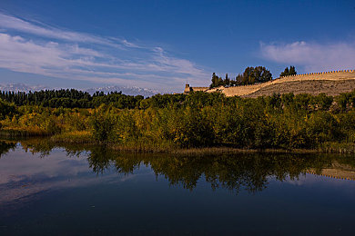 《张柏芝殖器12图》:星际飞车隐藏彩蛋曝光,输入神秘代码解锁十二款限定涂装-3