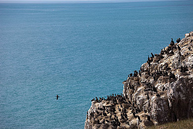 机机对机机免费版下载正版：钢铁巨兽，疾速变形的废墟争锋-3