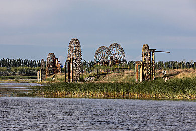 人人干人人搞：极速共谋，瞬息反目，赛道上的动态联盟博弈