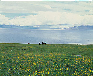 绿巨人藏宝阁黑科技最新版本：狂暴座驾觉醒，虚拟车库注入超能改装新纪元-2