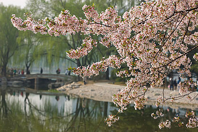 黄色软件下载安装3.3.0最新版免费：极速狂飙全新版本上线，免费畅玩霓虹都市与传奇超跑-3