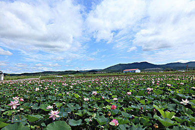 成人福利AV:极致驾驶美学,沉浸式豪车模拟体验之旅-3