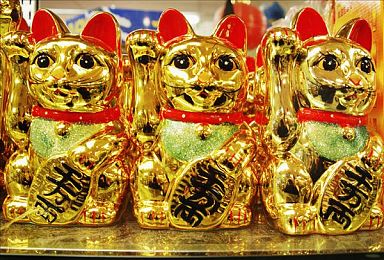 张柏芝殖器12：《极速进化12》正式上线，革命性殖装系统重塑真实赛车体验