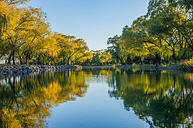 十大禁用网站app:虚拟黑市赛车游戏引发道德争议,深度解析非法飙车机制-1