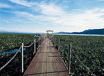 国产成人短视频：霓虹街影，极速狂飙与虚拟社交的都市竞速之旅-3