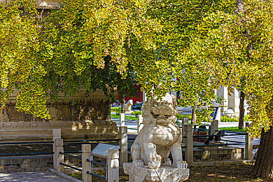 榴莲视频污污app：极限赛车模拟新作发布，硬核改装与动态赛道引爆驾驶狂潮-1