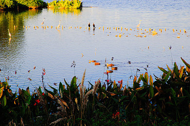 国产av成人电影：极速改装挑战，硬核赛车体验征服真实赛道